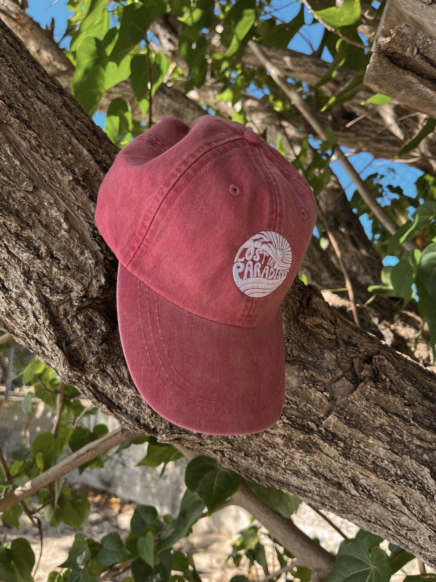 Lost in Paradise Pink Dad Hat